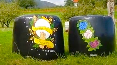 Bolas decoradas