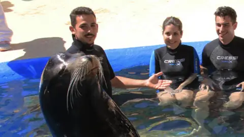 Leon Marino Leon Marino