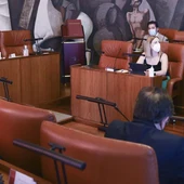 Pleno de la Diputación de Ciudad Real Pleno de la Diputación de Ciudad Real