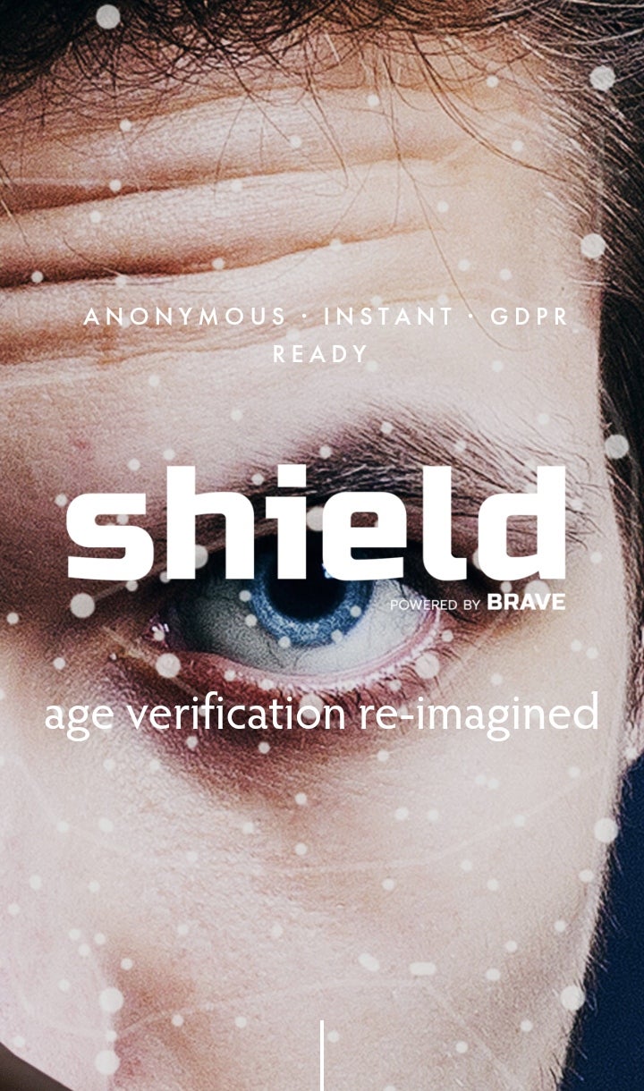 Shield, el escudo alavés para que los menores no accedan a contenidos peligrosos en Internet Shield, el escudo alavés para que los menores no accedan a contenidos peligrosos en Internet