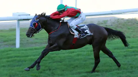 Hipódromo de San Sebastián Hipódromo de San Sebastián