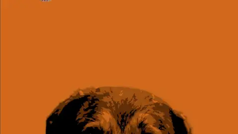 Portada del libro "Los delitos de maltrato animal en España" de Eduardo Olmedo Portada del libro "Los delitos de maltrato animal en España" de Eduardo Olmedo