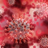 Coronavirus. Coronavirus.