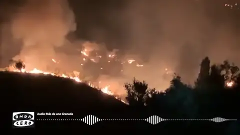 Aparatoso incendio forestal en la localidad granadina de Jun: 55 hectáreas calcinadas Aparatoso incendio forestal en la localidad granadina de Jun: 55 hectáreas calcinadas