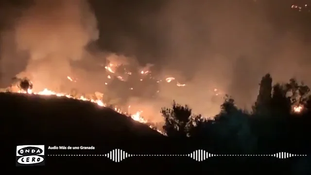 Aparatoso incendio forestal en la localidad granadina de Jun: 55 hectáreas calcinadas Aparatoso incendio forestal en la localidad granadina de Jun: 55 hectáreas calcinadas