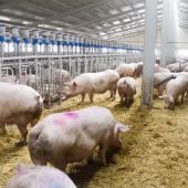 El consejero Luengo pide que se consuma carne y defiende la sostenibilidad ambiental de la ganadería murciana