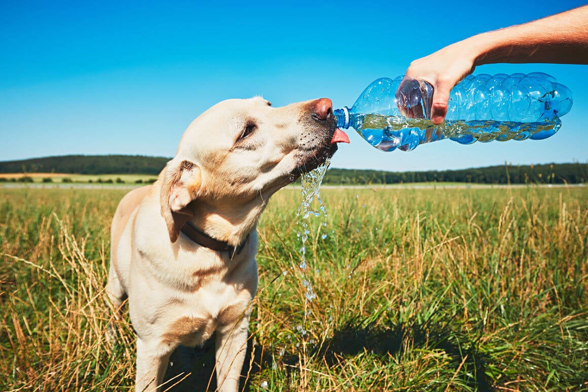 Golpes de calor y técnicas para viajar seguros centran este martes nuestro espacio Golpes de calor y técnicas para viajar seguros centran este martes nuestro espacio