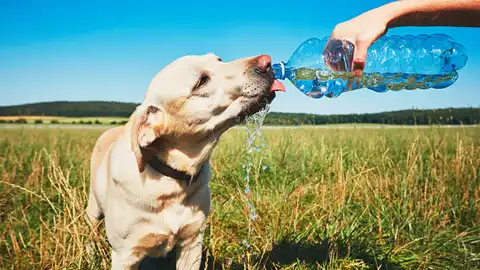 Golpes de calor y técnicas para viajar seguros centran este martes nuestro espacio can