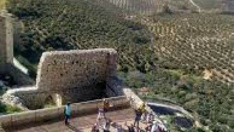 M&aacute;s de Uno C&oacute;rdoba 