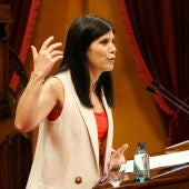 Marta Vilalta, en una compareixença al Parlament.