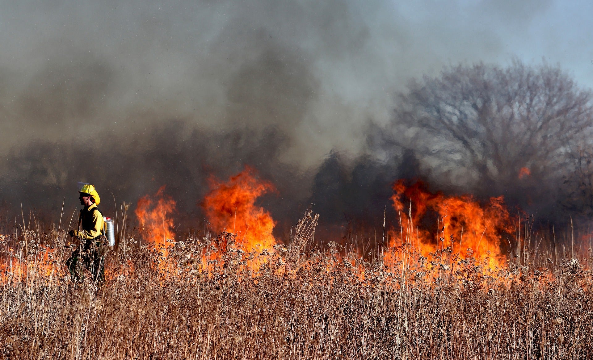 25 incendios forestales durante la primera semana de Peligro Alto por incendios forestales en la región 25 incendios forestales durante la primera semana de Peligro Alto por incendios forestales en la región