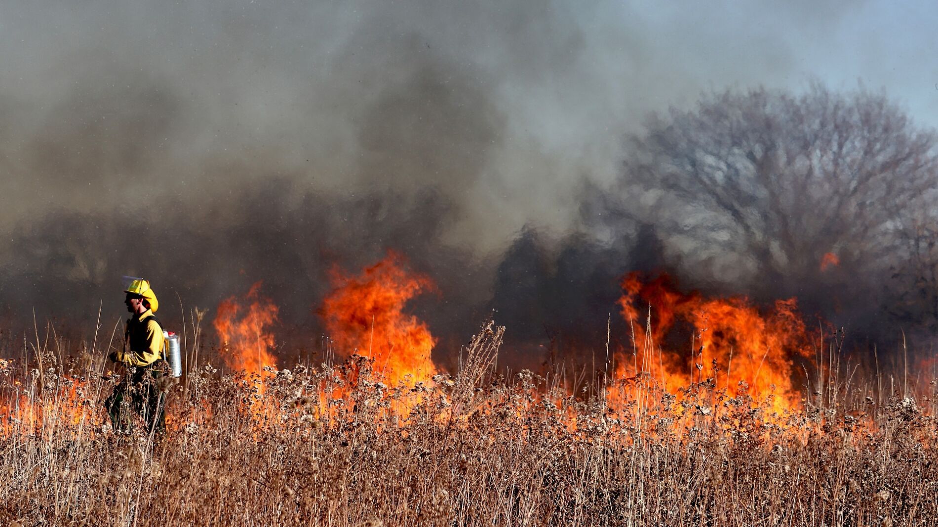 25 Incendios Forestales Durante La Primera Semana De Peligro Alto Por ...