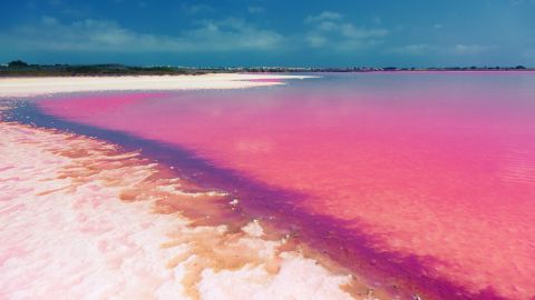 laguna