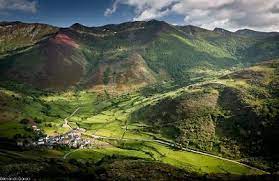 HÁBITAT,ANCARES LUGO,PIORNEDO HÁBITAT,ANCARES LUGO,PIORNEDO