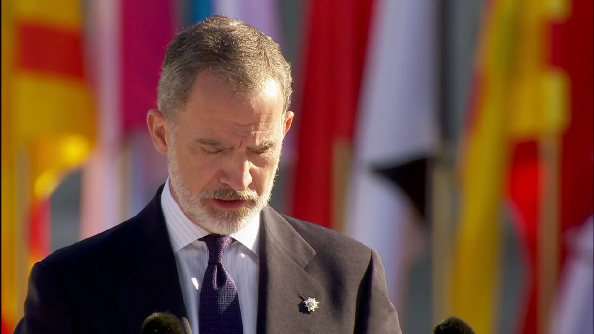 El Rey Felipe VI pide que España "no olvide" y aprenda de todo lo vivido con la pandemia del coronavirus El Rey Felipe VI pide que España "no olvide" y aprenda de todo lo vivido con la pandemia del coronavirus