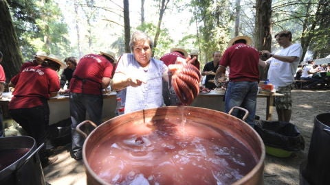 Festa do pulpo, Foto de archivo
