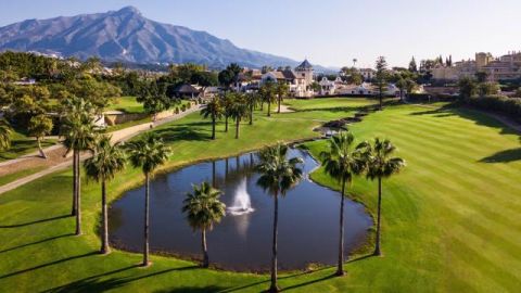Liga provincial de golf