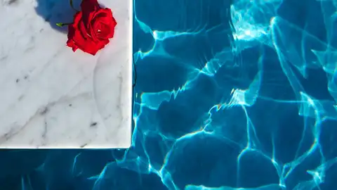 Agrícola Horadada: más de 30 años cuidando de piscinas y jardines Profesionales a tu servicio