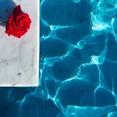 Agrícola Horadada: más de 30 años cuidando de piscinas y jardines Agrícola Horadada: más de 30 años cuidando de piscinas y jardines