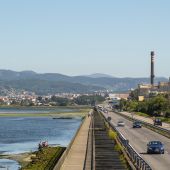 La Audiencia Nacional estima los recursos de Greenpeace o concello de Pontevedra contra la prórroga de Ence 