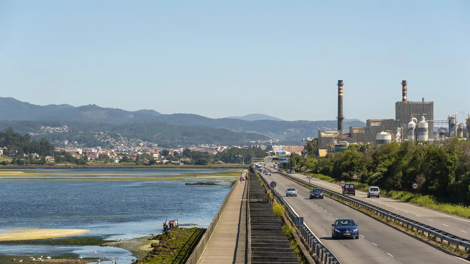 La Audiencia Nacional estima los recursos de Greenpeace o concello de Pontevedra contra la prórroga de Ence 