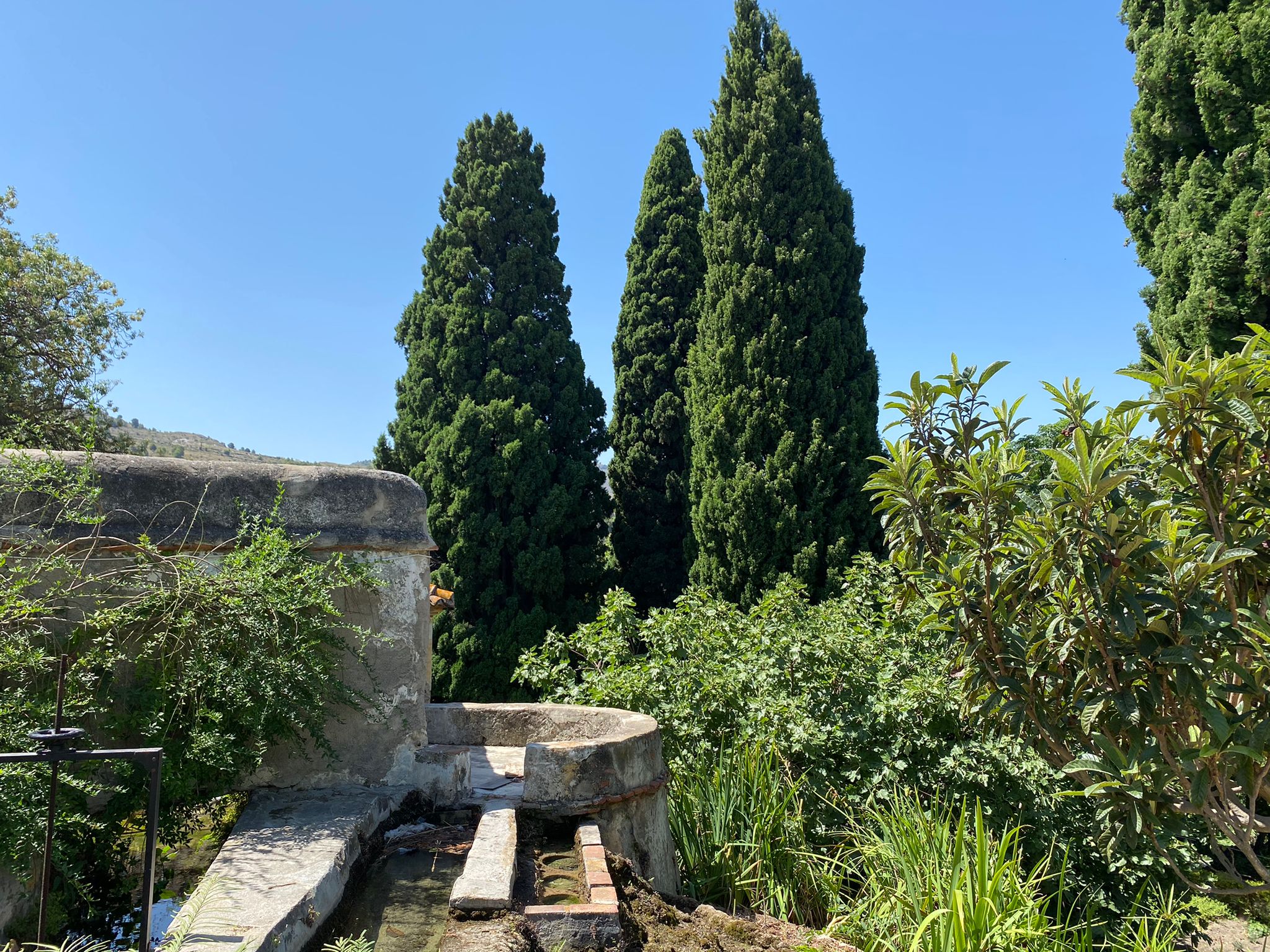 Vélez de Benaudalla es calidad, Turismo Seguro, Gastronomía Original, Cultura y un verano incomparable. Vélez de Benaudalla es calidad, Turismo Seguro, Gastronomía Original, Cultura y un verano incomparable.