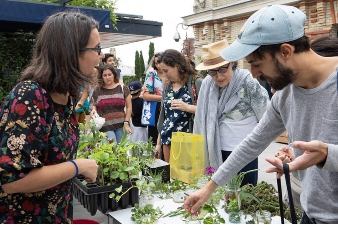 Laura Pinto: "Se nos ocurrió lo de los esquejes del intercambio de objetos" Laura Pinto: "Se nos ocurrió lo de los esquejes del intercambio de objetos"
