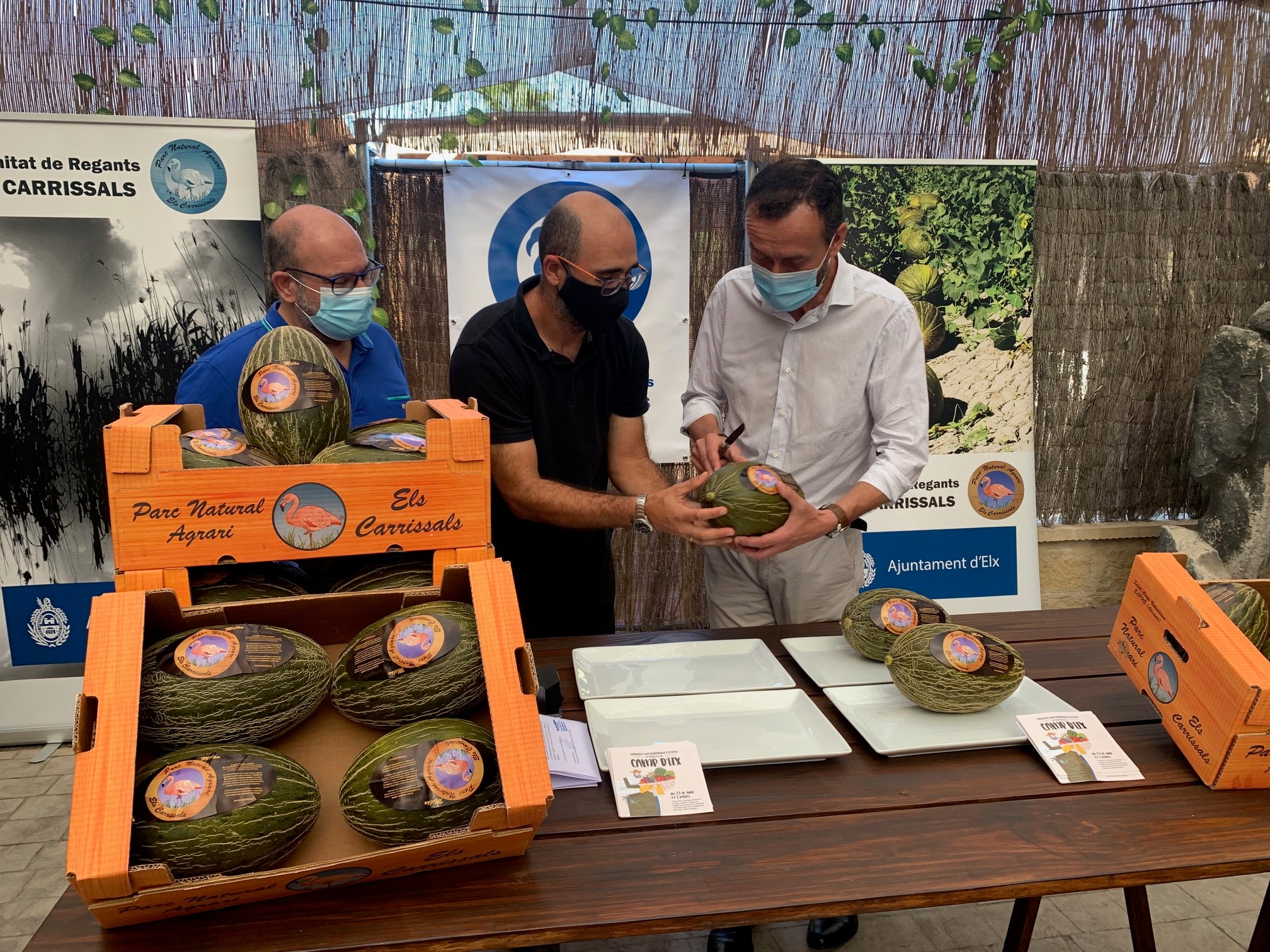 La Comunidad de Regantes de Carrizales espera obtener este año 350.000 kilos de melones frente a los 600.000 del año pasado La Comunidad de Regantes de Carrizales espera obtener este año 350.000 kilos de melones frente a los 600.000 del año pasado