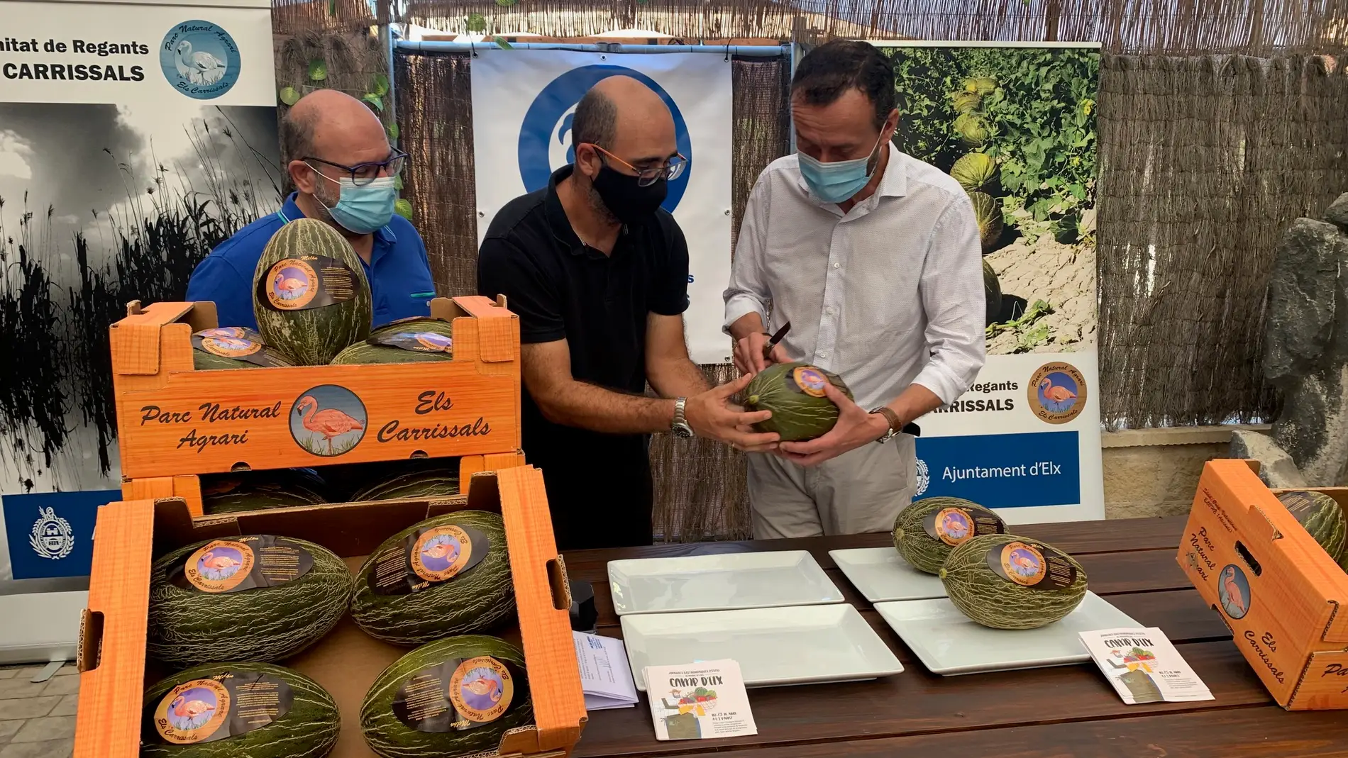  La Comunidad de Regantes de Carrizales espera obtener este año 350.000 kilos de melones frente a los 600.000 del año pasado