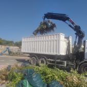 Limpieza Viaria y RSU prorroga la dotación de camiones para la recogida de podas en temporada alta 
