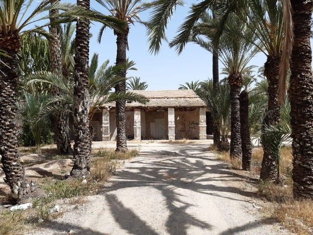 Elche dedicará un jardín en el entorno del Cementerio Viejo a las víctimas del covid Elche dedicará un jardín en el entorno del Cementerio Viejo a las víctimas del covid