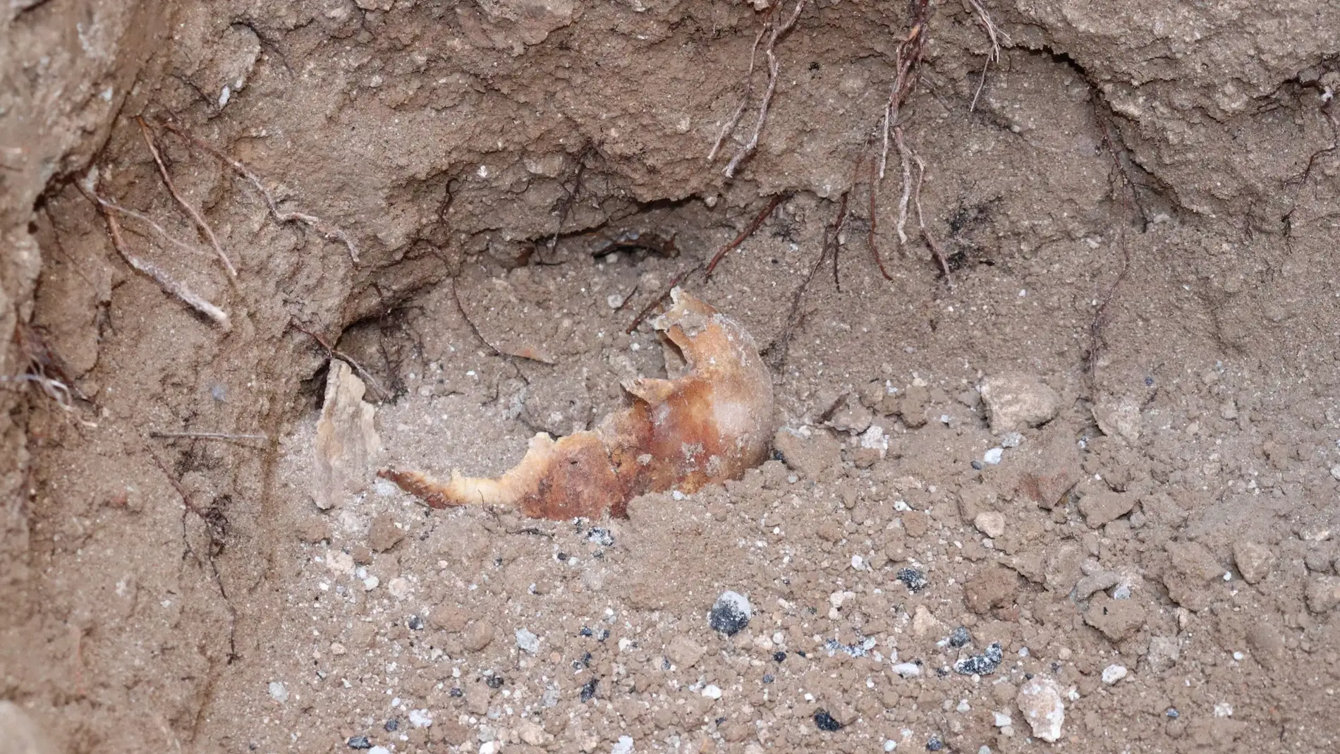 Se sigue investigando el hallazgo de restos óseos en las obras de la Plaza del Altozano, a la altura del Tribunal Superior de Justicia de C-LM