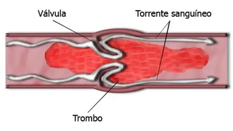 Más de Uno Córdoba 02/08/2021 Más de Uno Córdoba 02/08/2021