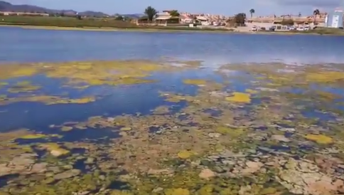 El 28 octubre expira el plazo y aún faltan 276.000 firmas para dotar de personalidad jurídica al Mar Menor El 28 octubre expira el plazo y aún faltan 276.000 firmas para dotar de personalidad jurídica al Mar Menor
