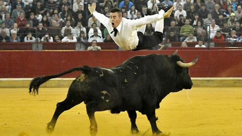 Recortadores, uno de los espectáculos más aclamados