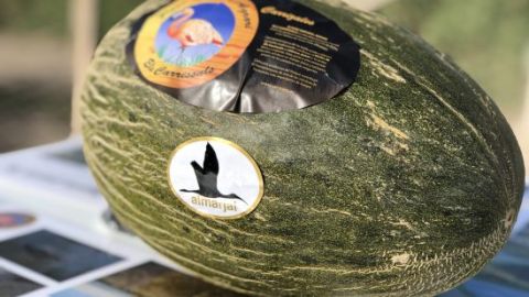 melon de carrizales