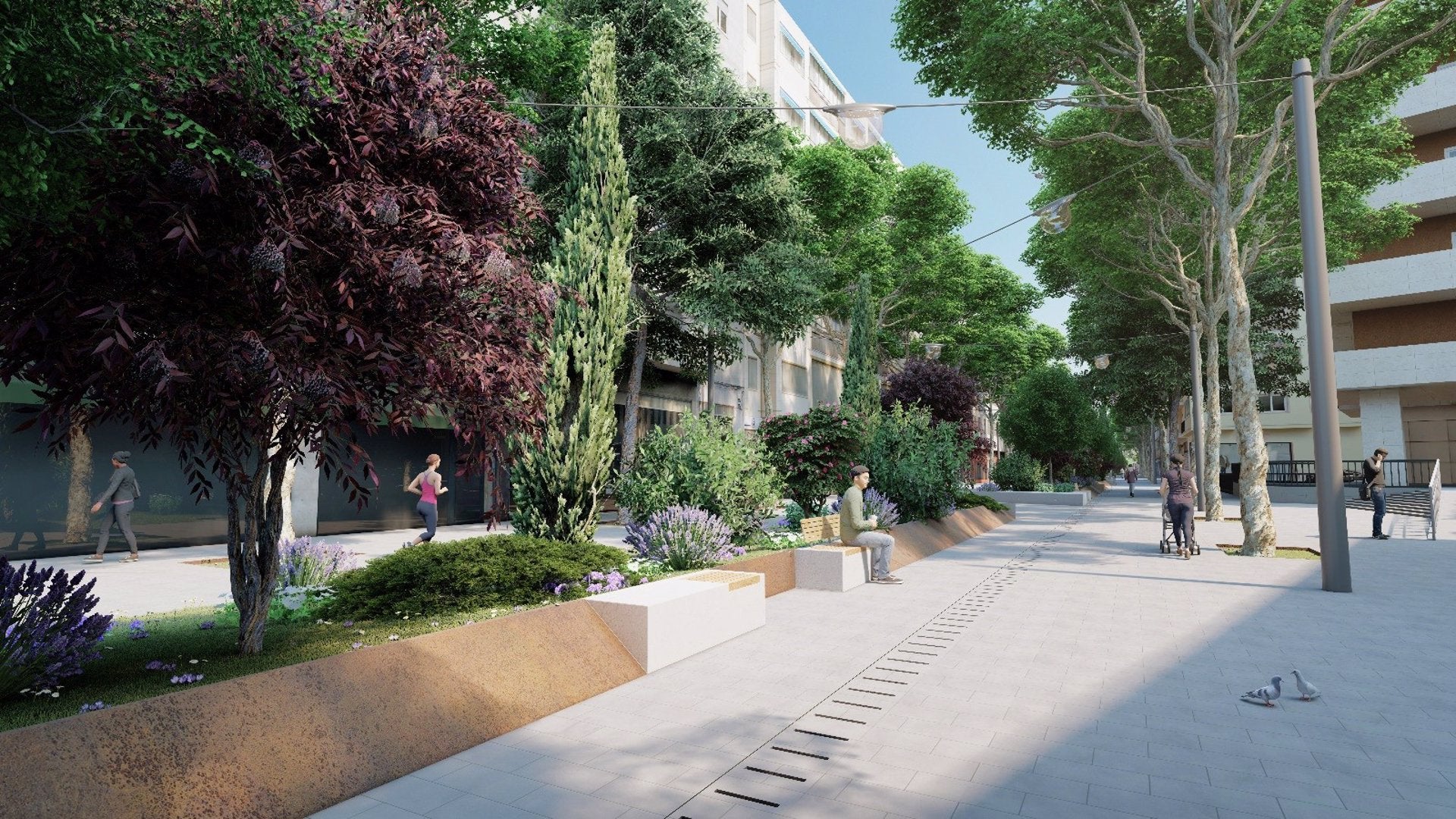 Cort adjudica por 1,8 millones las obras del eje verde de Nuredduna Cort adjudica por 1,8 millones las obras del eje verde de Nuredduna