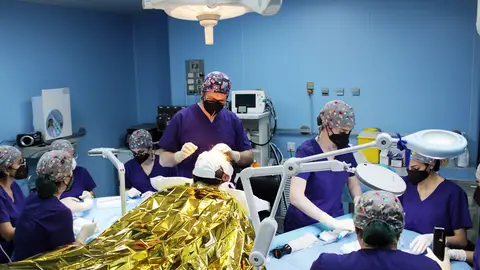 Microcirugía capilar FUE Microcirugía capilar FUE