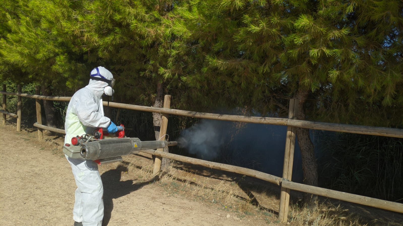 Ante la proliferación de mosquitos se inicia el plan especial de fumigación en el canal de María Cristina Ante la proliferación de mosquitos se inicia el plan especial de fumigación en el canal de María Cristina