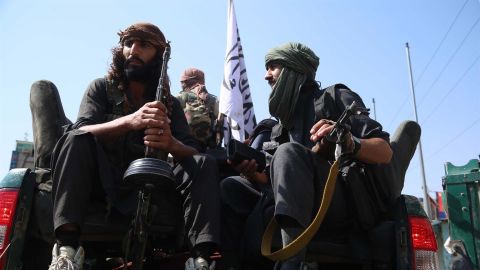 Talibanes