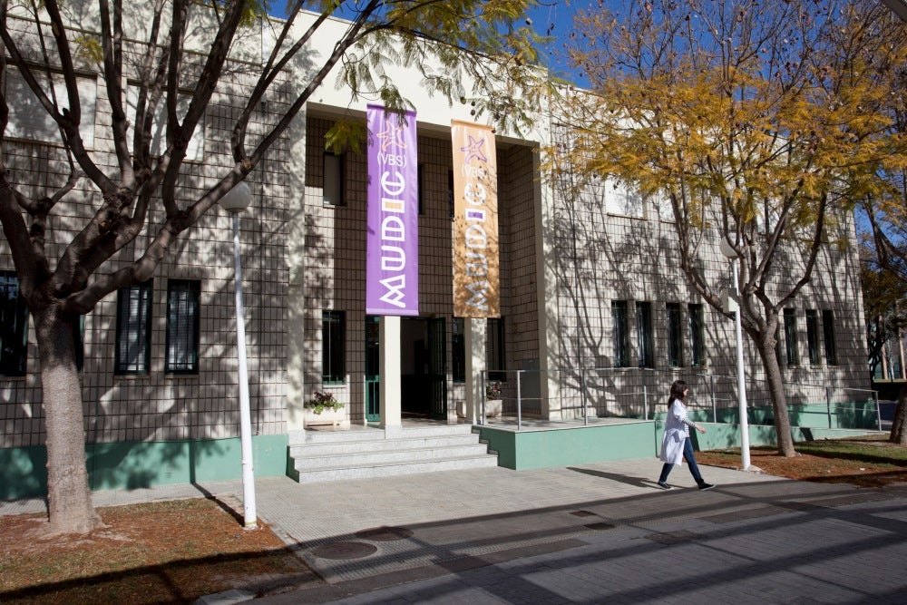 Rosa Martínez, directora del MUDIC, el museo ha realizado una escuela de verano que ha tenido mucho éxito Rosa Martínez, directora del MUDIC, el museo ha realizado una escuela de verano que ha tenido mucho éxito