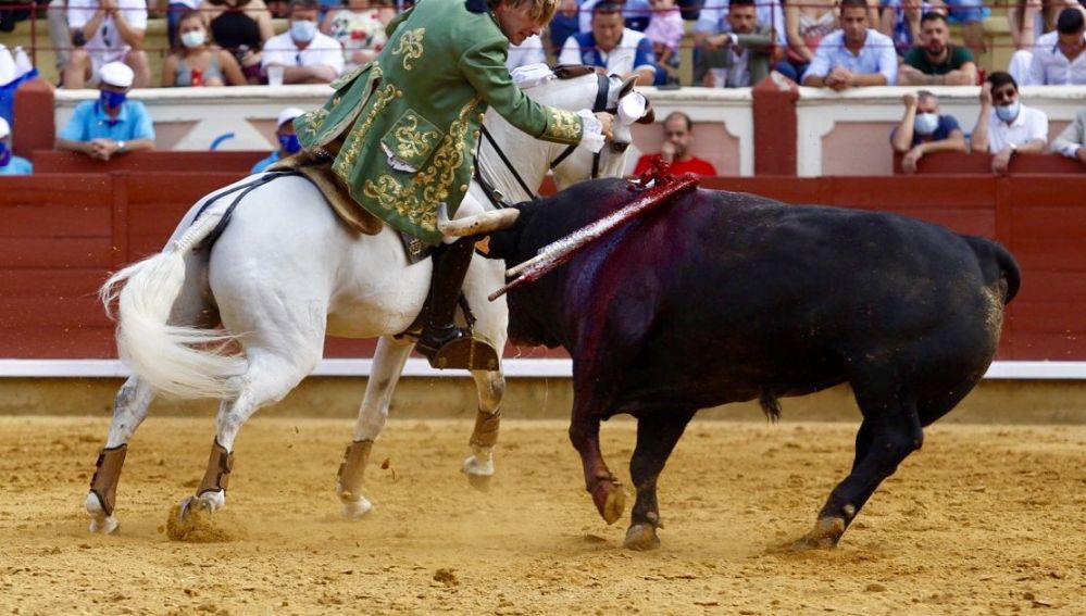 Toros de María Guiomar Cortés de Moura