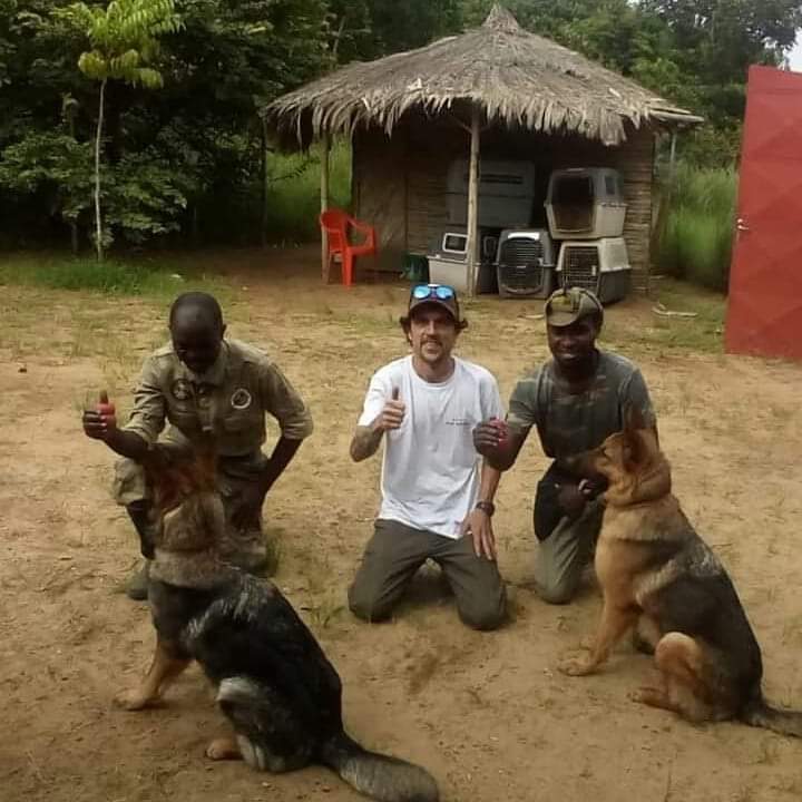 Perros detectores 'made in Spain' luchan contra el tráfico de especies en El Congo Perros detectores 'made in Spain' luchan contra el tráfico de especies en El Congo