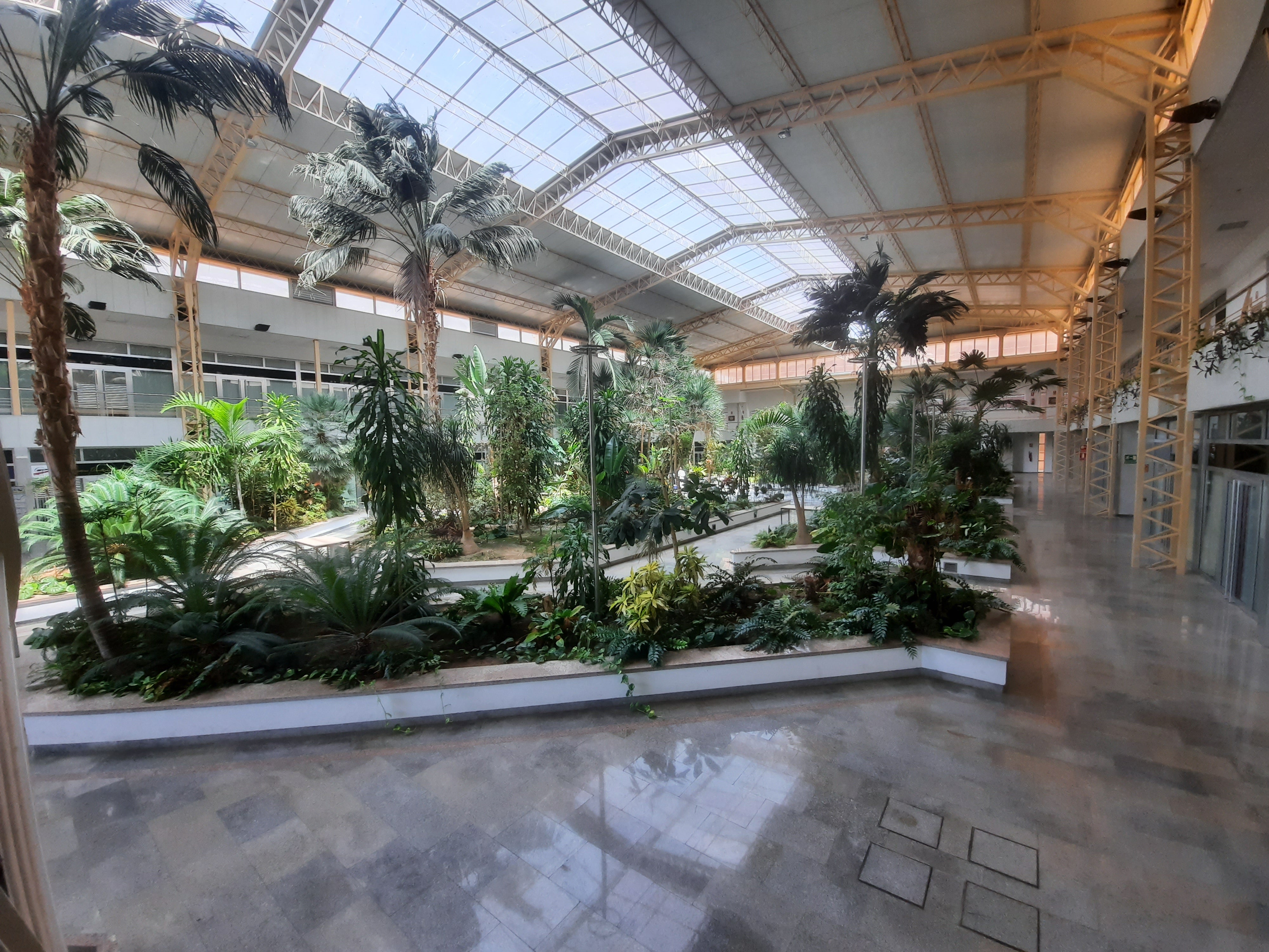 Zona Franca será sede de un nuevo punto de vacunación Covid-19 Zona Franca será sede de un nuevo punto de vacunación Covid-19