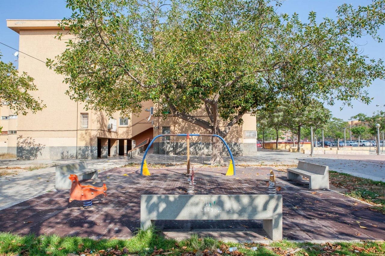 El Ayuntamiento de Elche va a coordinar el grupo de intervención social que se va a implantar en el barrio Los Palmerales El Ayuntamiento de Elche va a coordinar el grupo de intervención social que se va a implantar en el barrio Los Palmerales