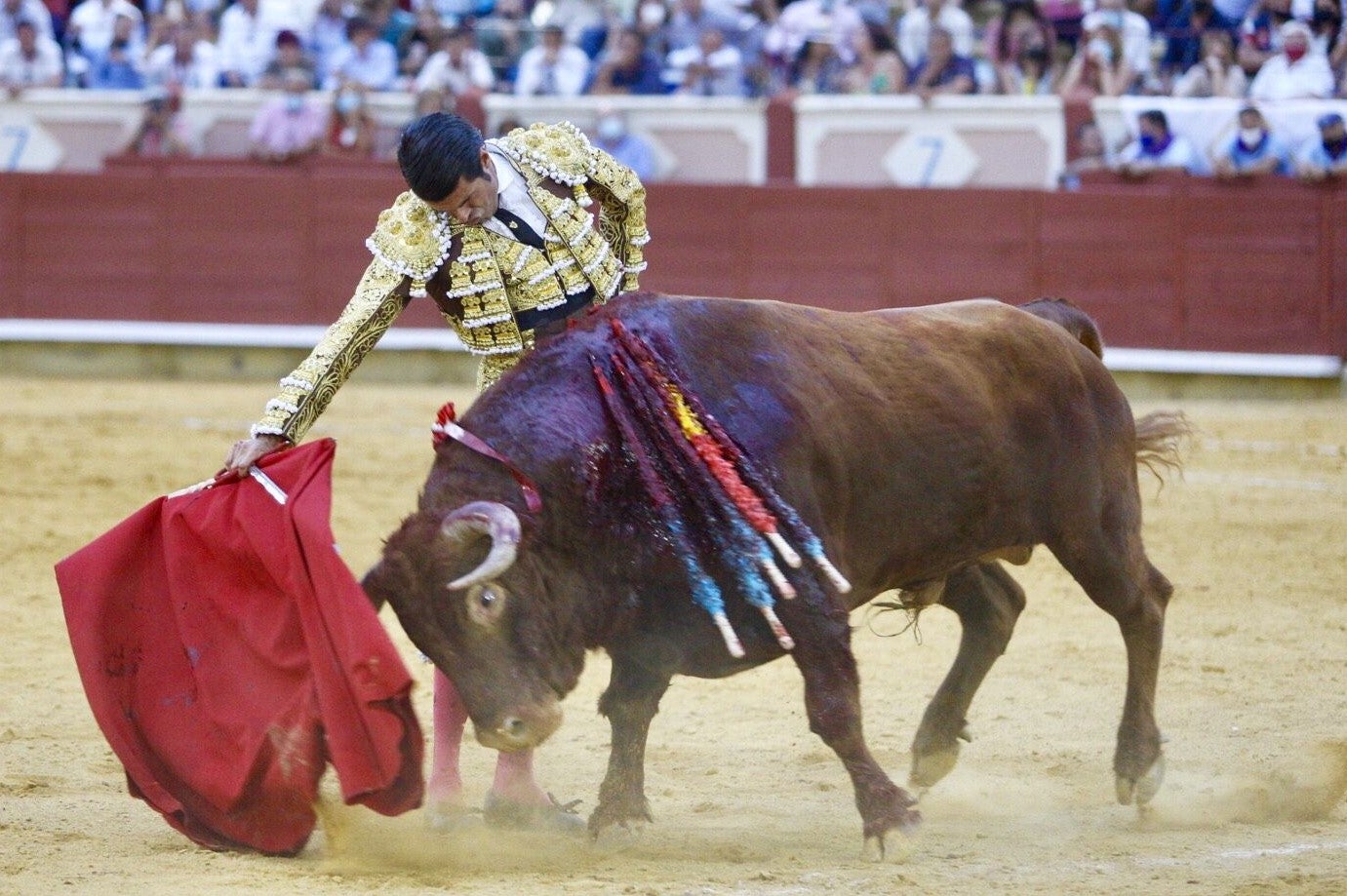 "Al compartir su situación Morante permite ver el doble esfuerzo que hace por estar en las Plazas" "Al compartir su situación Morante permite ver el doble esfuerzo que hace por estar en las Plazas"