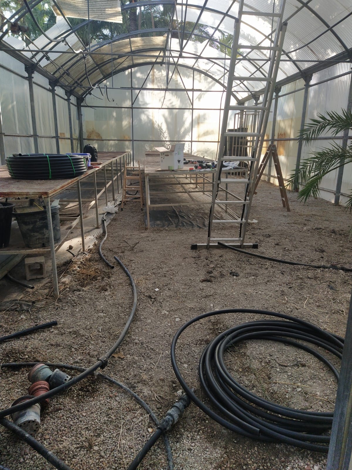 Medio Ambiente ejecuta la rehabilitación del invernadero municipal del Palmeral Medio Ambiente ejecuta la rehabilitación del invernadero municipal del Palmeral