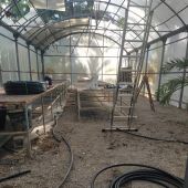 Medio Ambiente ejecuta la rehabilitación del invernadero municipal del Palmeral 