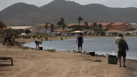 Murcia, mar menor Desastre medioambiental