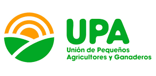 UPA considera los primeros precios de la uva un insulto para el agricultor UPA considera los primeros precios de la uva un insulto para el agricultor